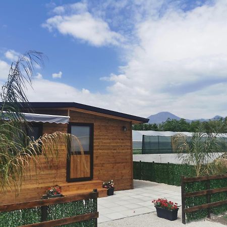 Apartamento Vesuvius Chalet Relax Boscoreale Exterior foto