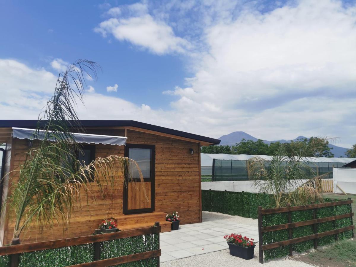 Apartamento Vesuvius Chalet Relax Boscoreale Exterior foto